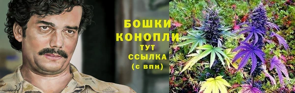 ПСИЛОЦИБИНОВЫЕ ГРИБЫ Алзамай