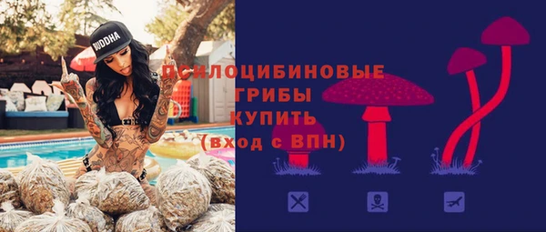 ПСИЛОЦИБИНОВЫЕ ГРИБЫ Алзамай