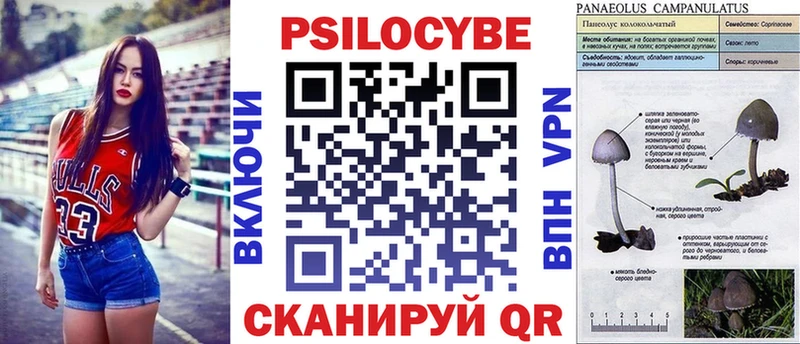 Галлюциногенные грибы Psilocybe  Сарапул 